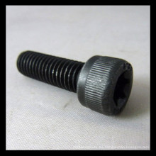 Cheese Head Torx Screw